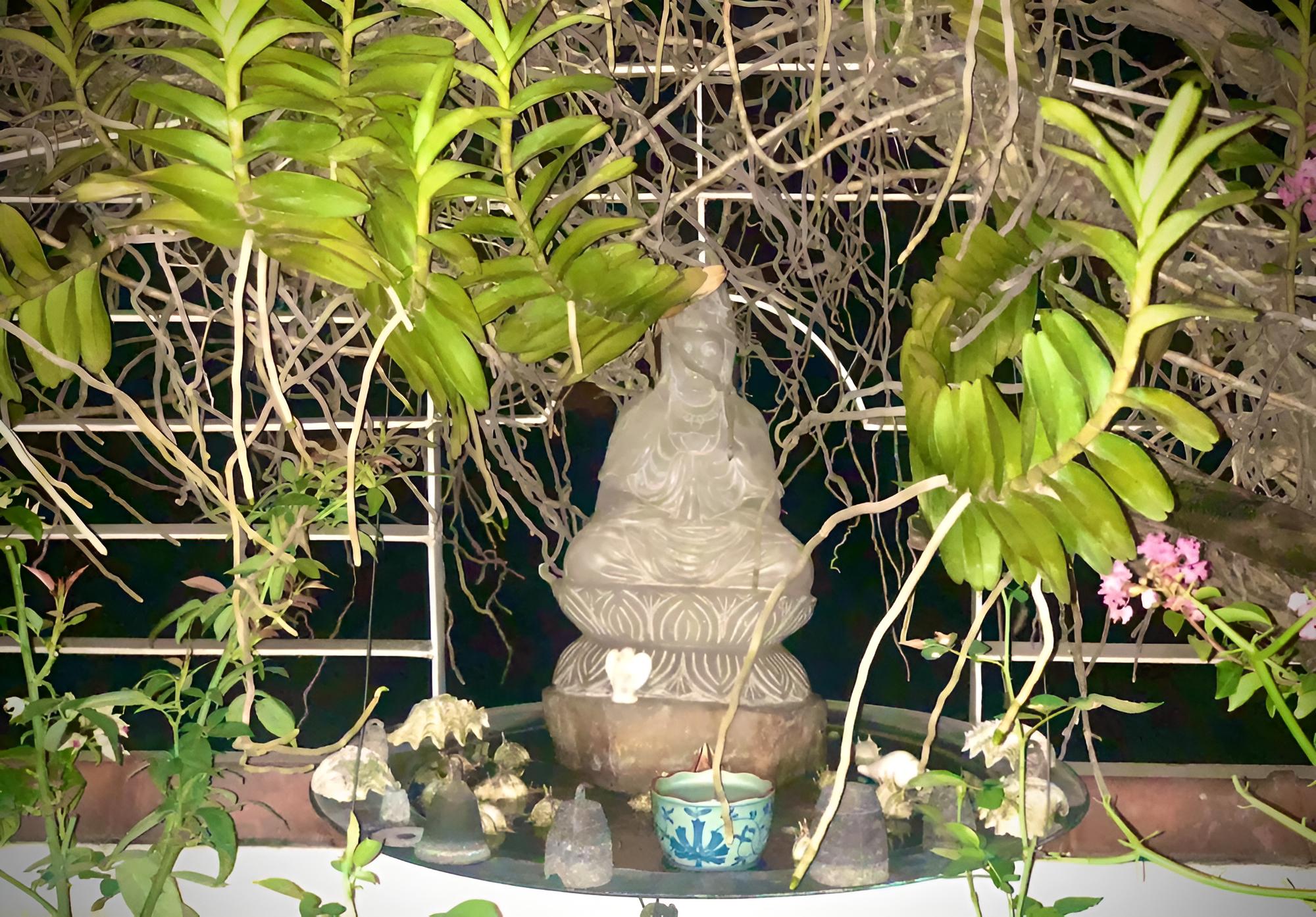 Hotel Garden Queen