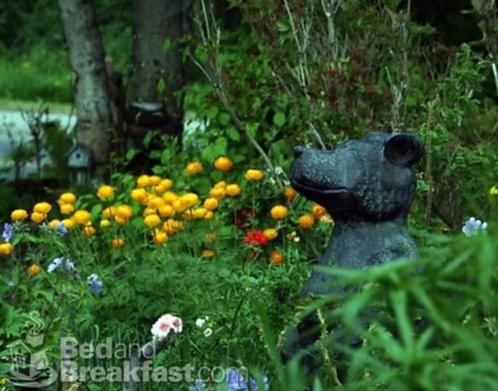 Photo 22