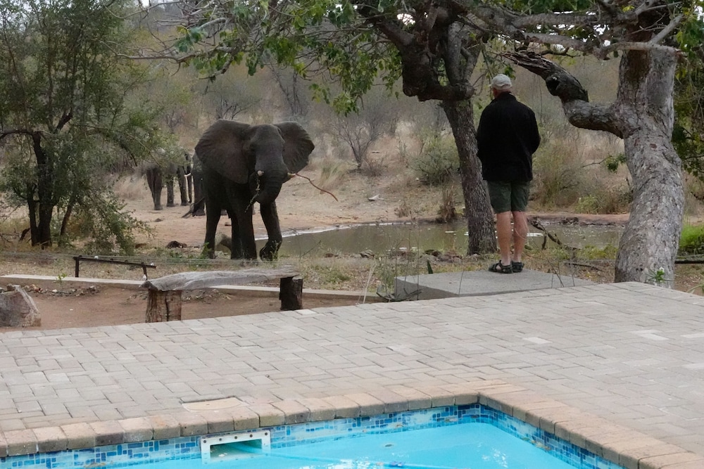 Antares Bush Camp & Safaris - Hostel
