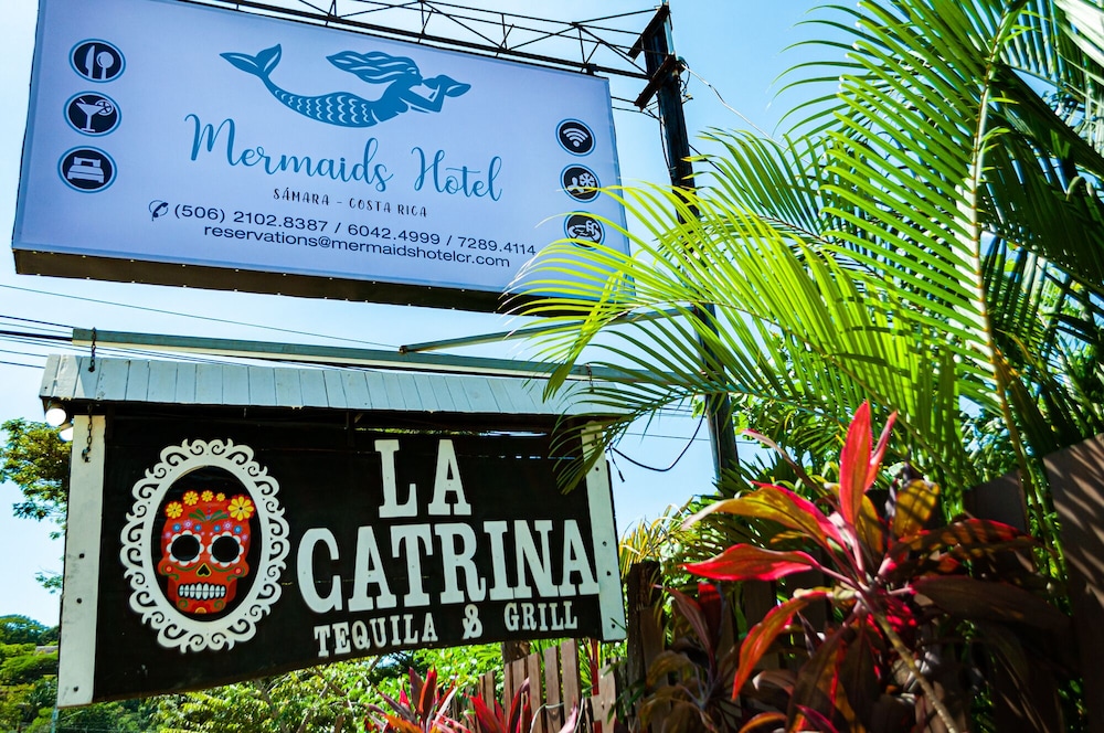 Hotel Mermaids - Image 1