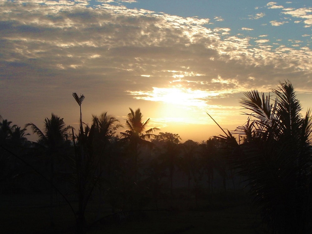 Photo 25