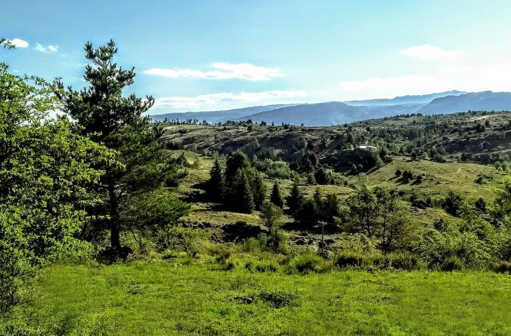 La Domanda