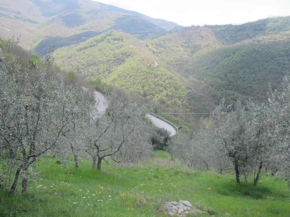 Photo 22