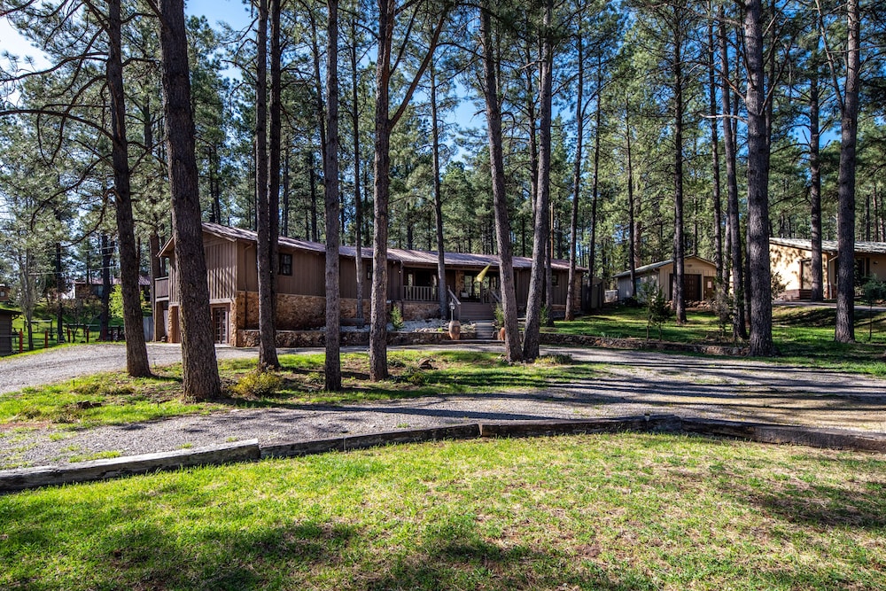 Rustic Pines Retreat view 3
