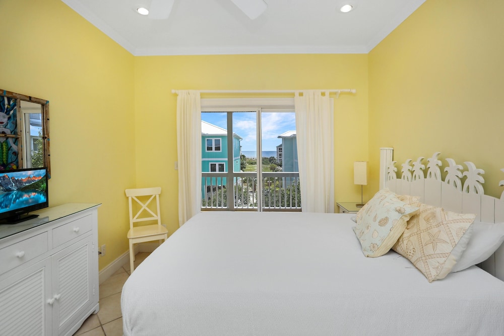 Cape Palms