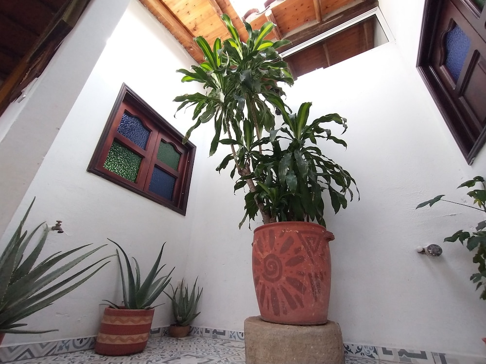 Hostel Santander Aleman Terrace Vista