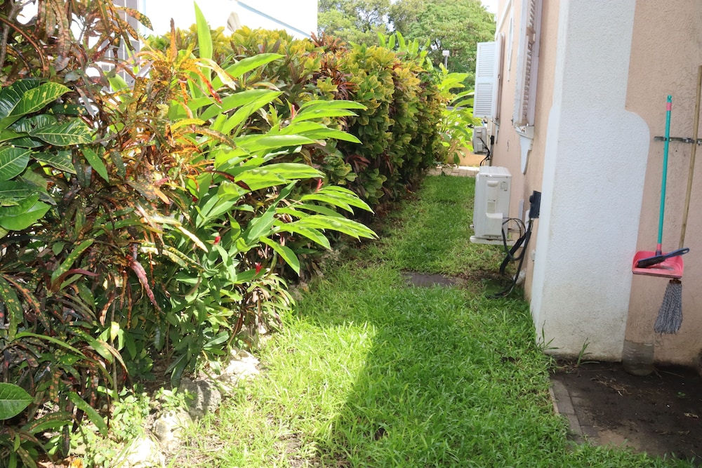 Photo 35