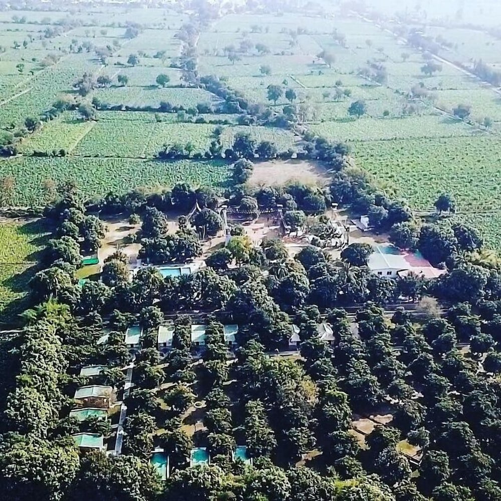 Camp Dilly