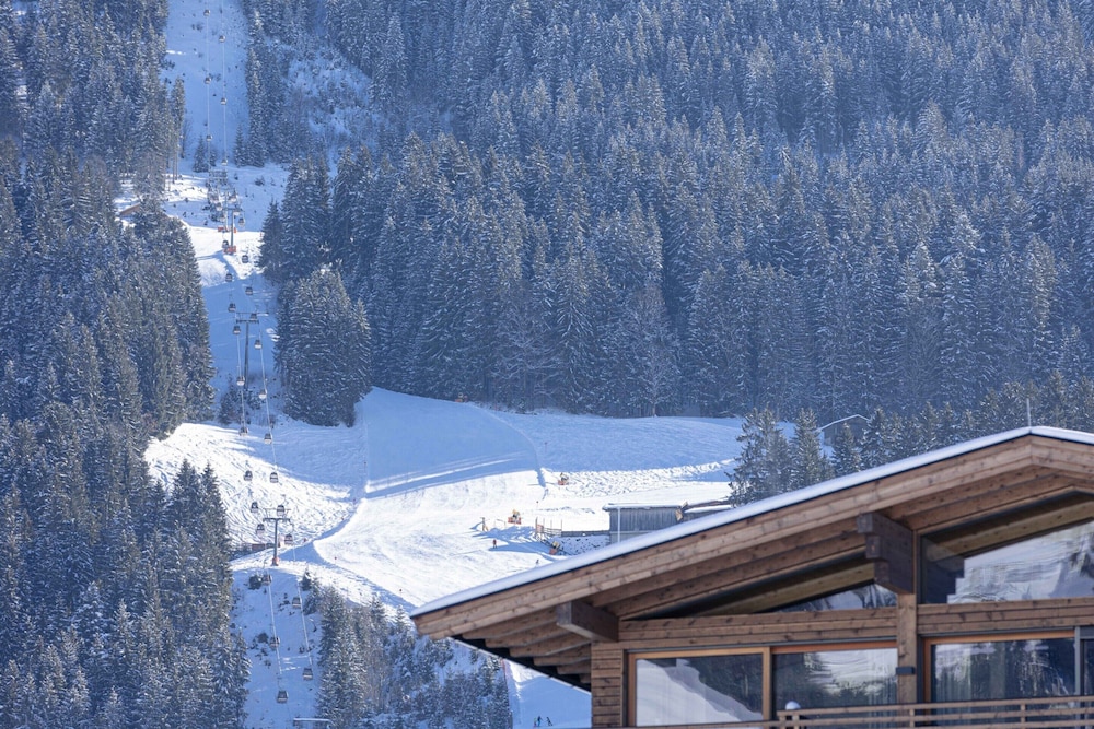 Penthouse in Tyrol With Infrared Sauna