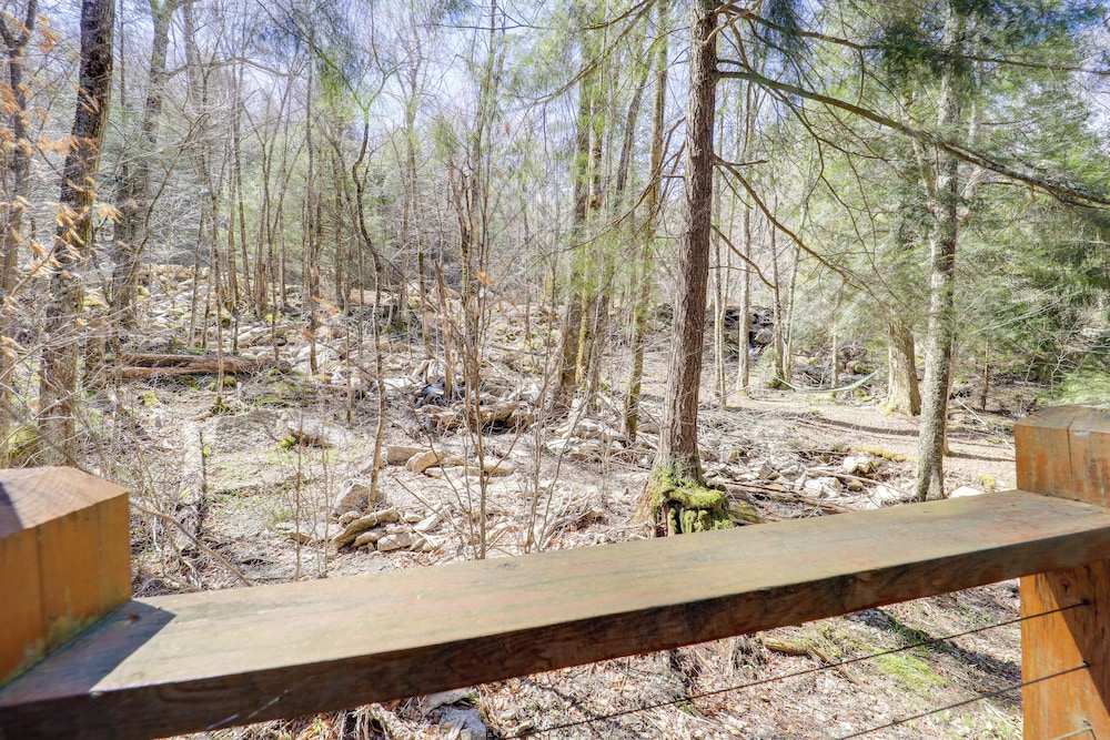 2 Mi to Beech Mtn Slopes! Cozy Couples Retreat