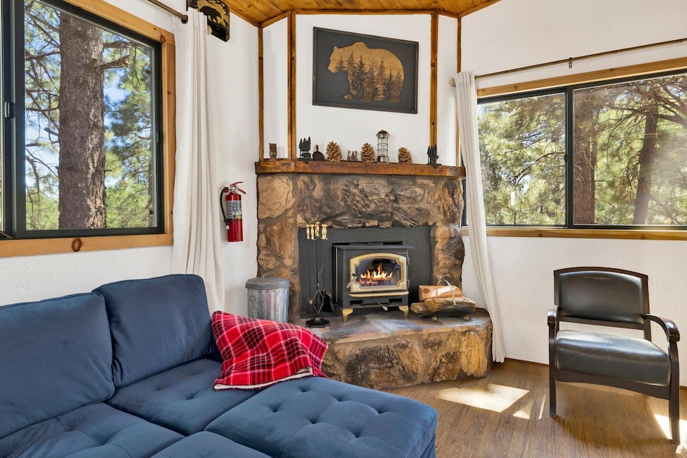 Bear Forest Cabin #2553