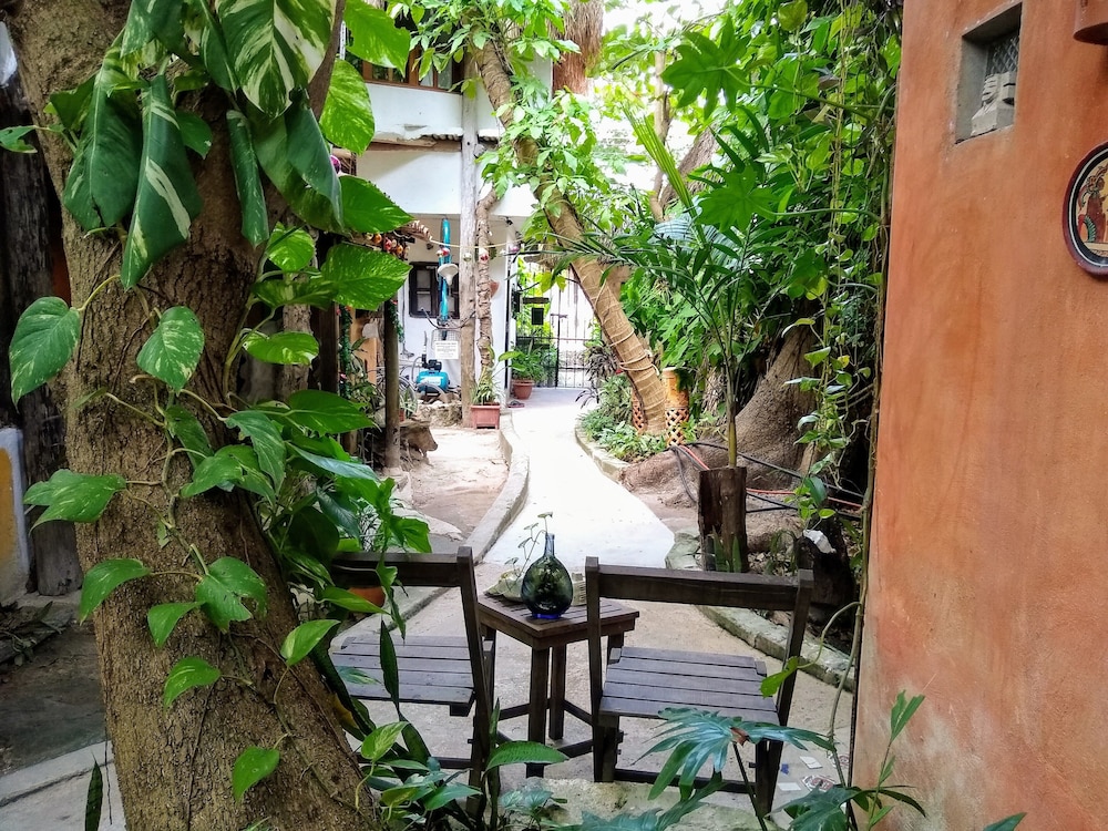 Casitas Kinsol
