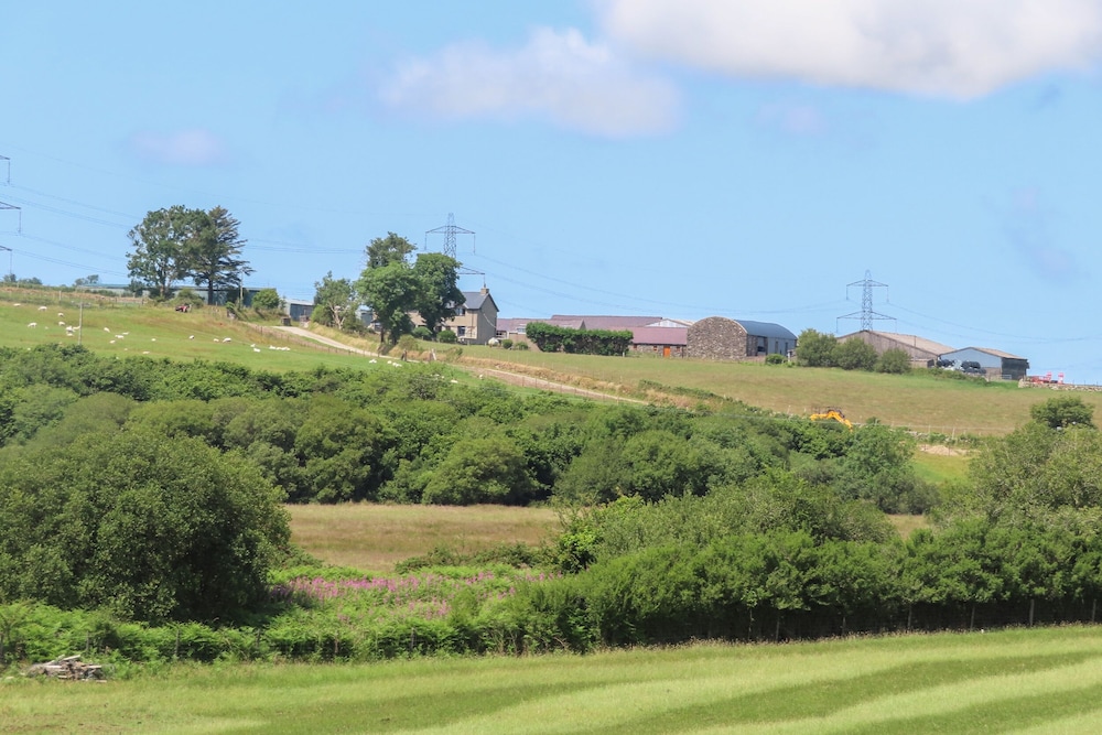 Bwthyn Derwin Fawr