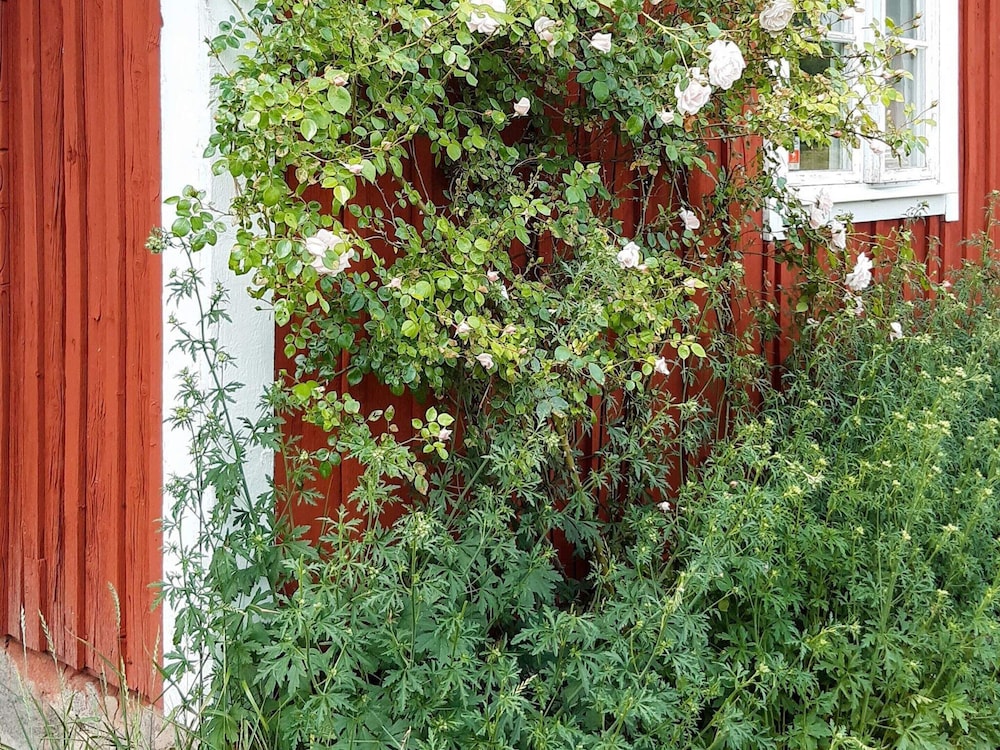 4 Star Holiday Home in Nykvarn