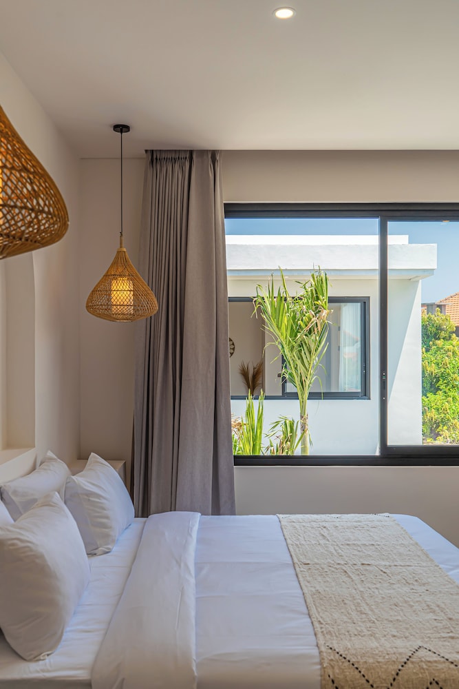 Nova Oasis 1