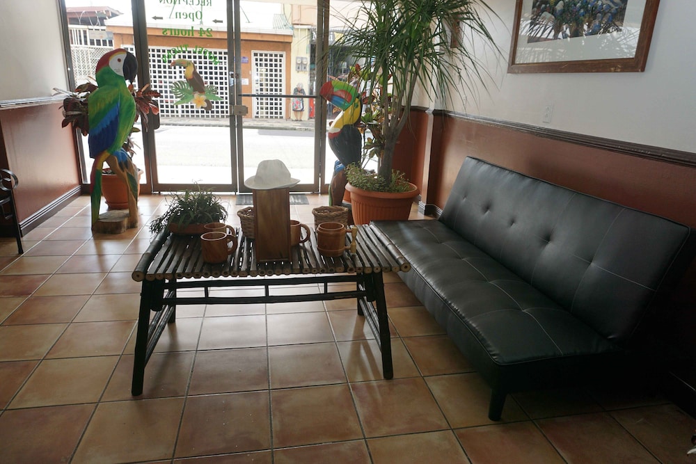 Hotel el Tucan Alajuela view 5