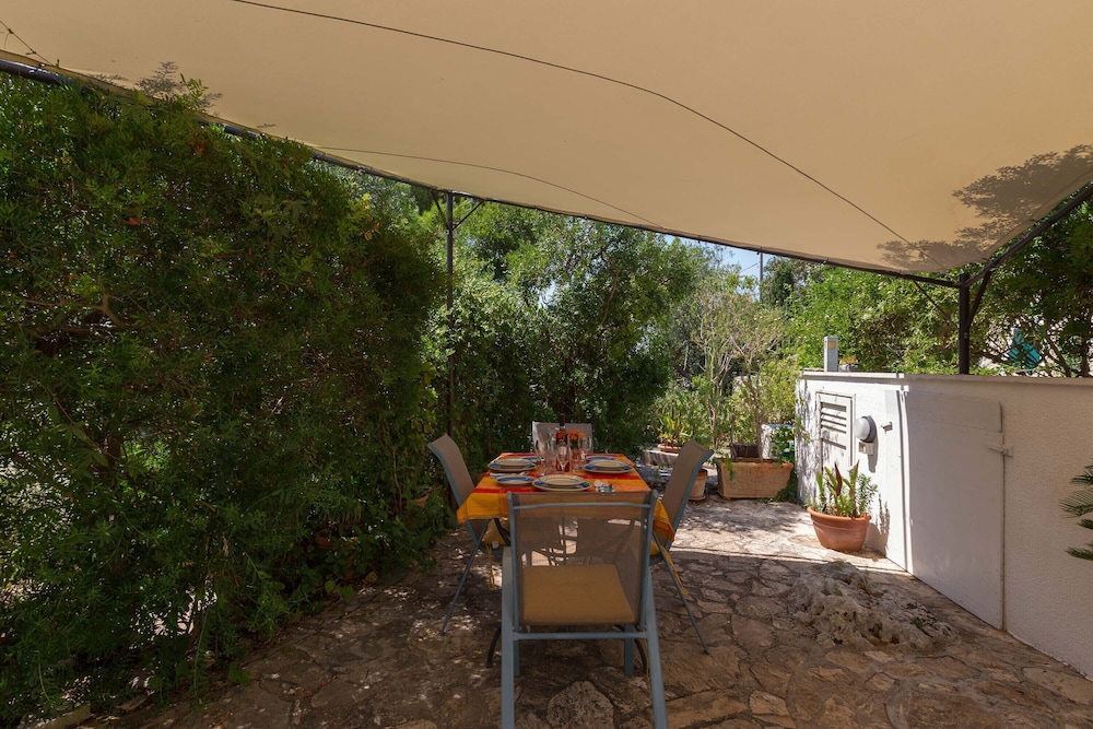 Pajara Annelies photo 3