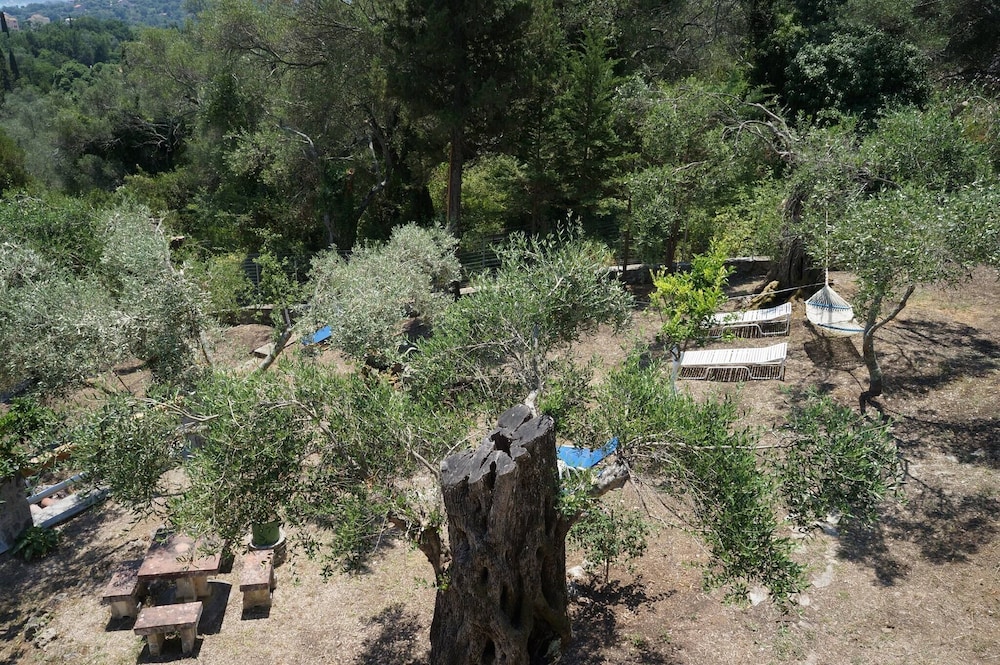 Photo 32