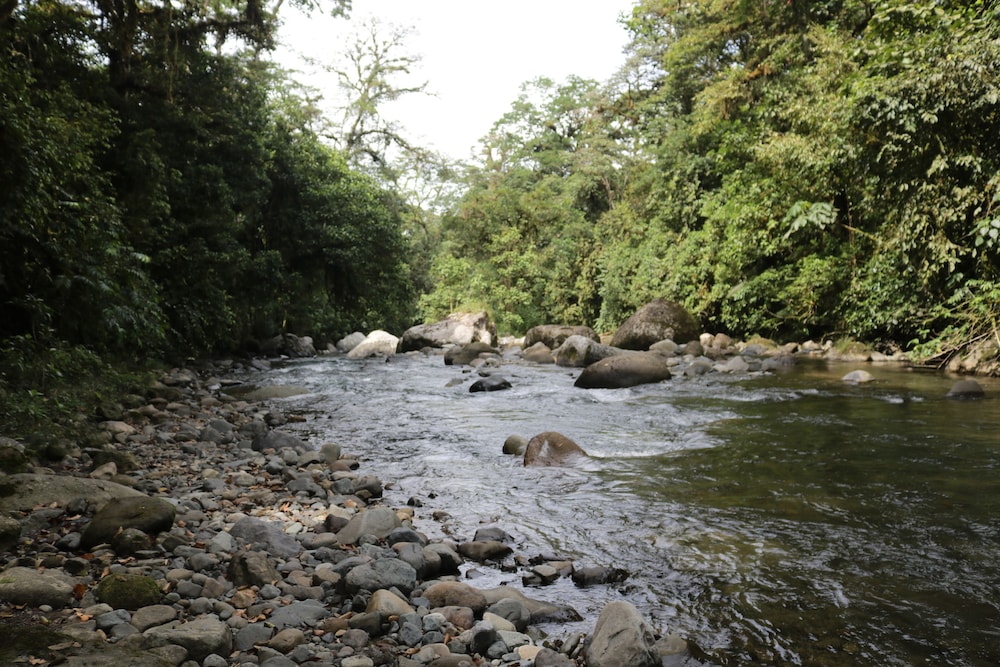 La Marta Refugio de Vida Silvestre view 5