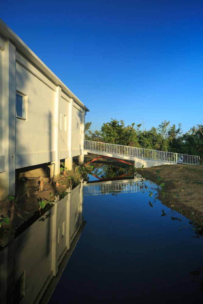Wild Island B&B