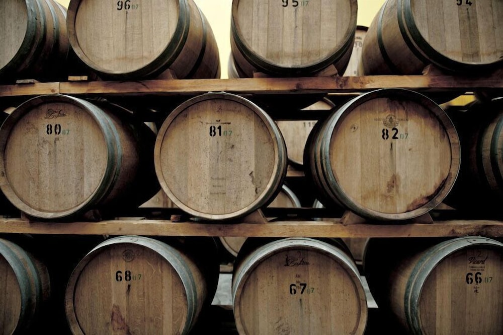 Tenuta Cappallotto