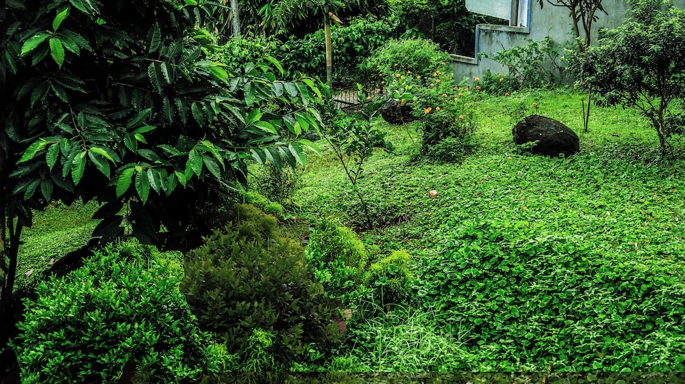 Hideaway Homestay Kandy