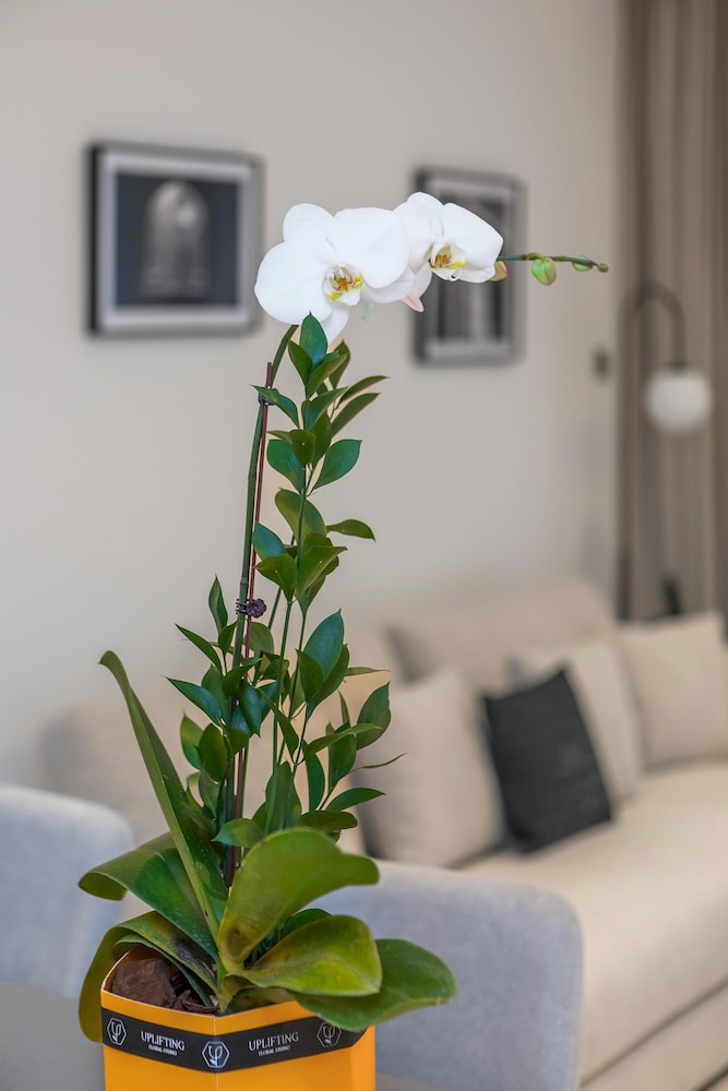 New cozy 1BR in Business Bay