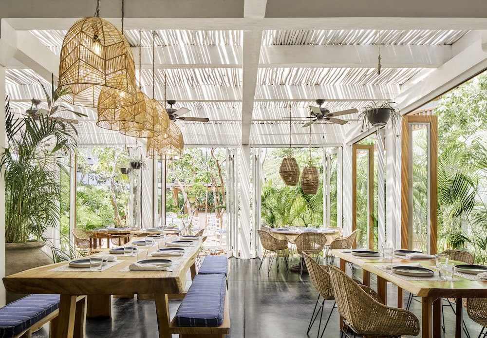 Kimpton Aluna Tulum, an IHG Hotel - Property Image 102