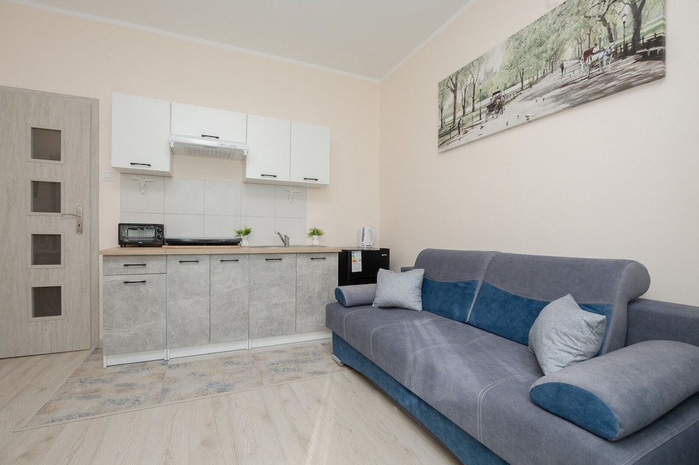 Gagarina Studio With Balcony by Renters view 4