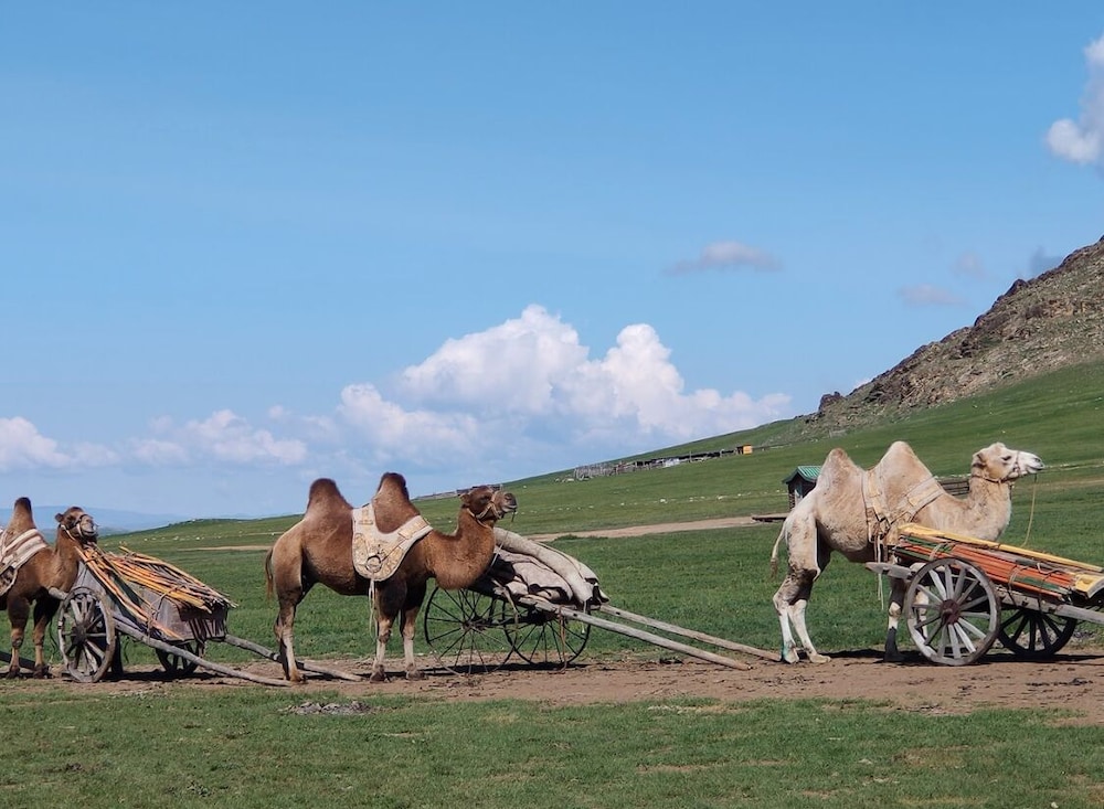 Mongol Nomadic Camp Resort