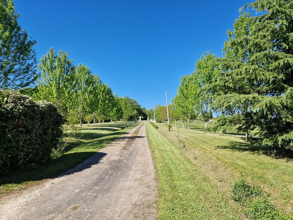 Photo 28