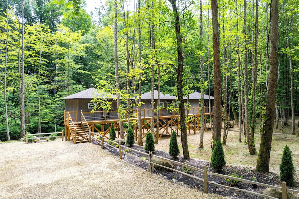 1/2 Mi to Great Smoky Mtns Nat'l Park: Cosby Gem