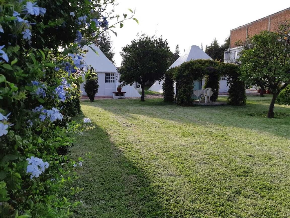 Photo 26