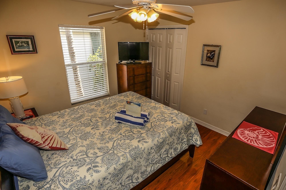 295 Mango view 4