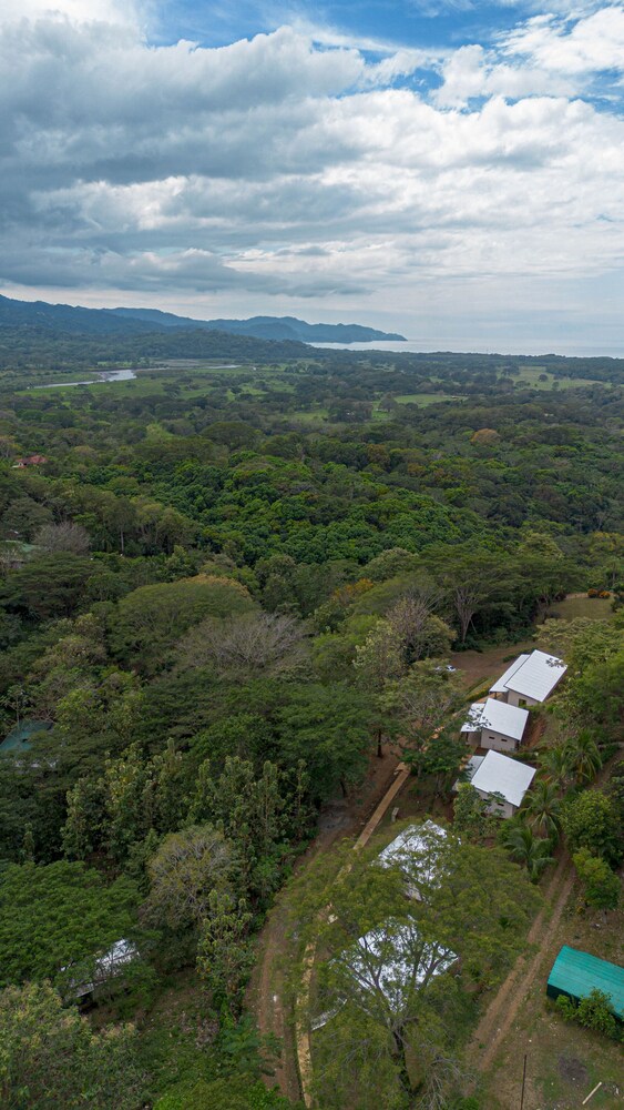 Tarcoles Birding Lodge
