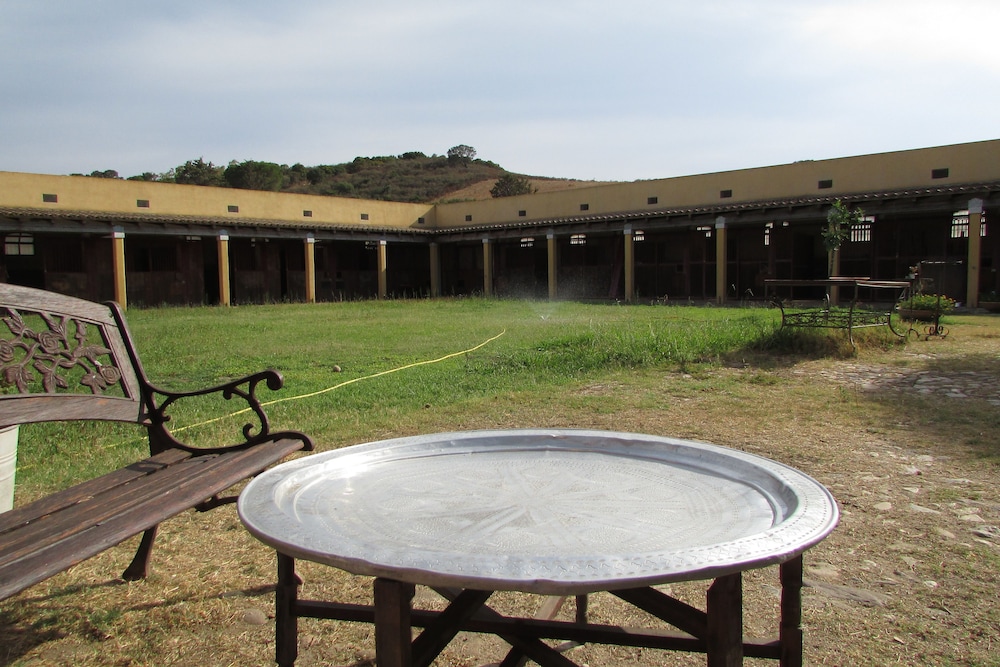 Cavalli di S'Arcaite