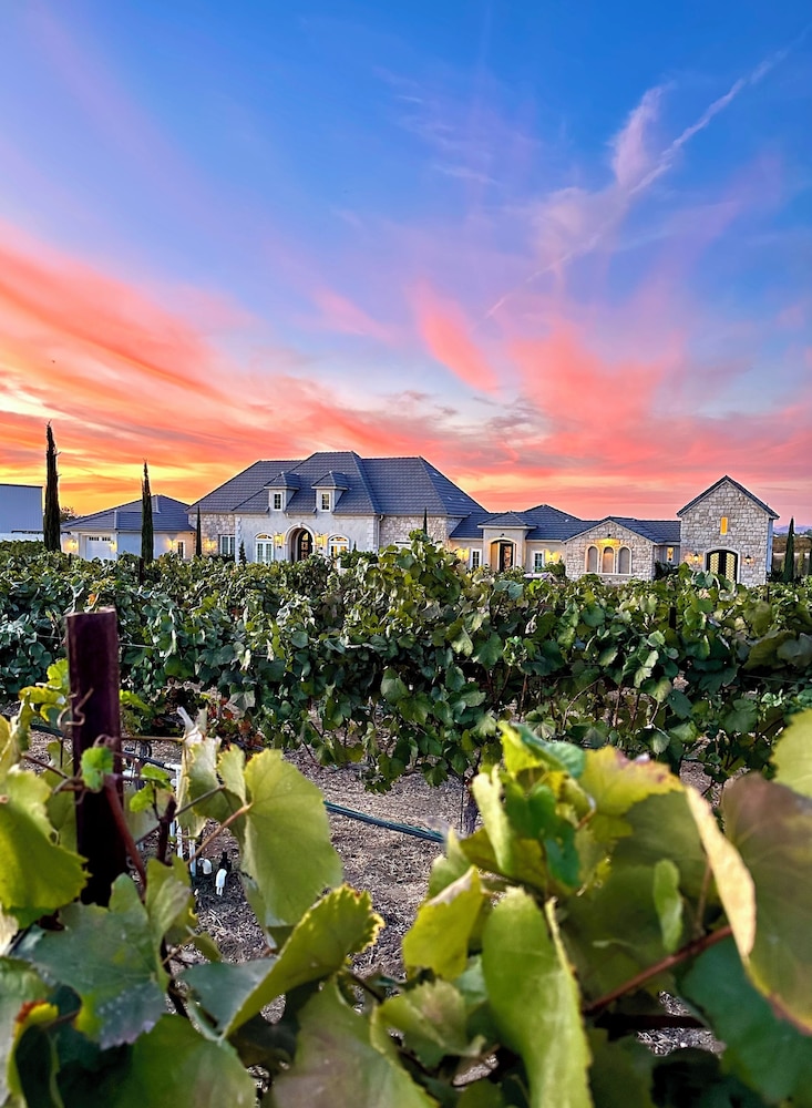 Domaine Chardonnay