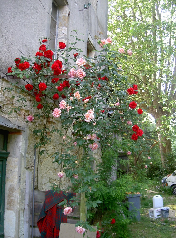 Photo 6