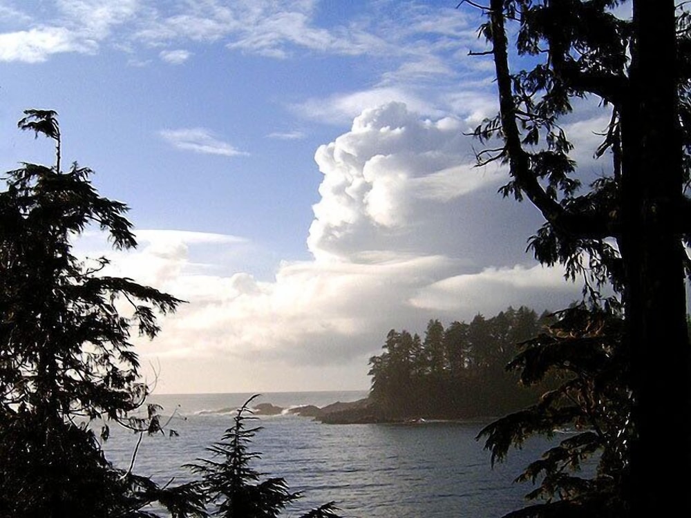 Reef Point Oceanfront B & B