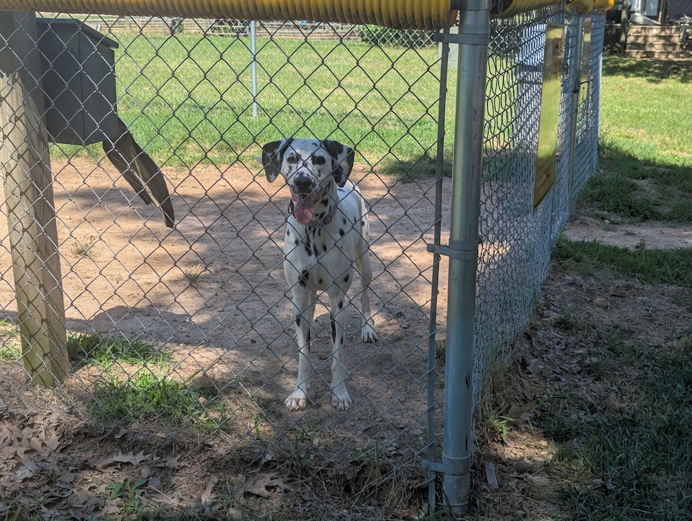 Texarkana KOA