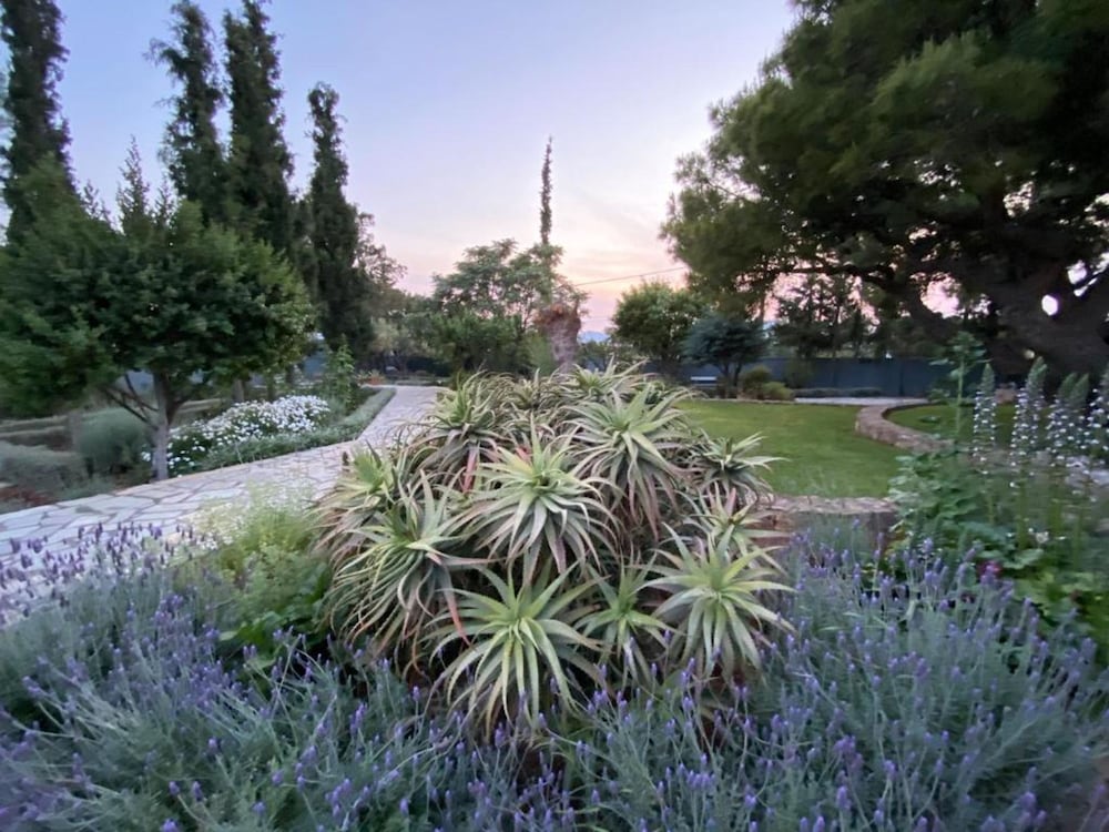 Villa-agave by the sea in Porto-rafti Outside ATH