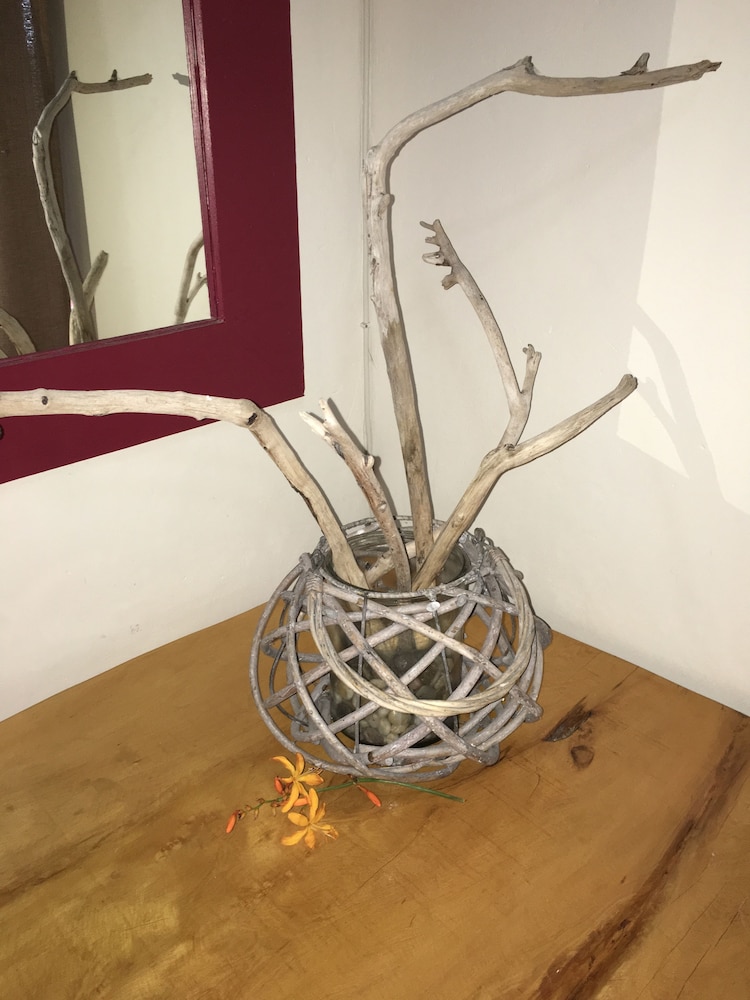 The Birdhouse