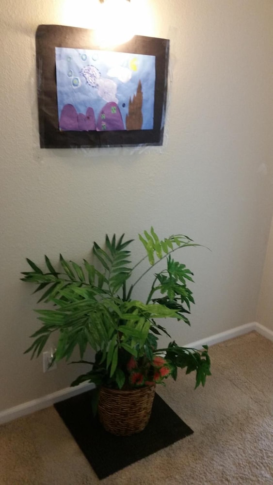 Bed and Breakfast - Property Image 6