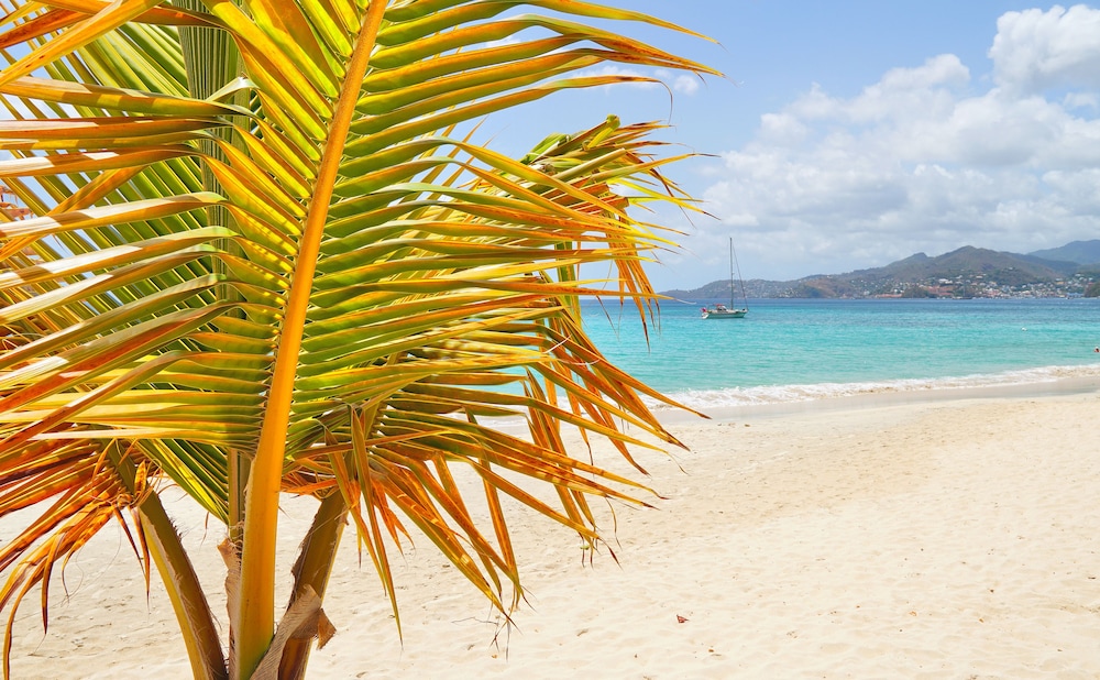 Spice Island Beach Resort 88