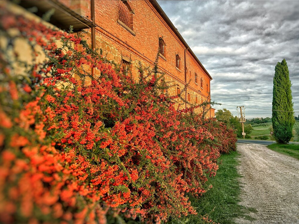 Fattoria Santa Vittoria Apartment "lepre" view 4