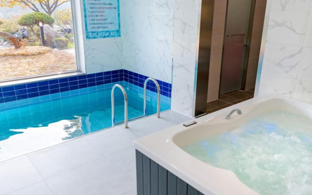 Wonju Zelkova 480 Pool Villa view 5