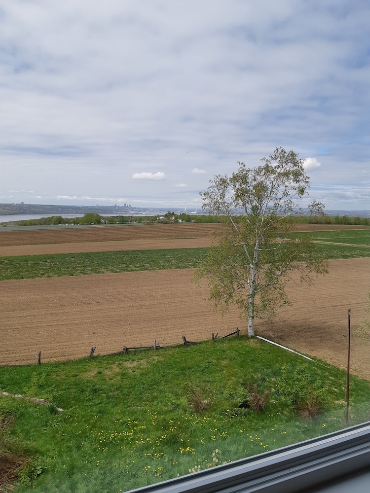 B&B Panorama