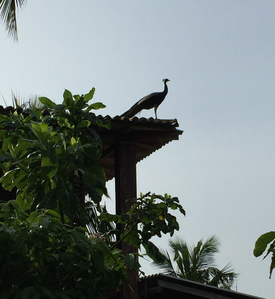 Lanka Eco Village