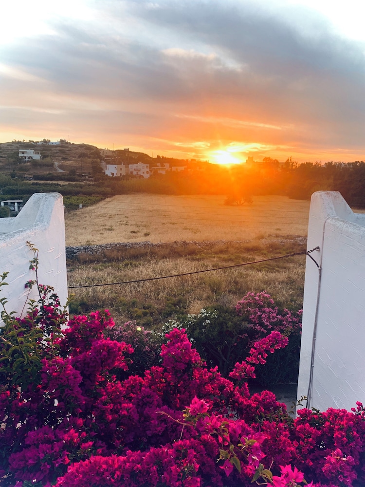 Pelagos Studios