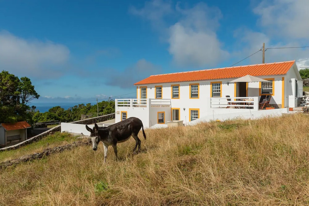 Villa Traditional, Pico by Izibookings view 4